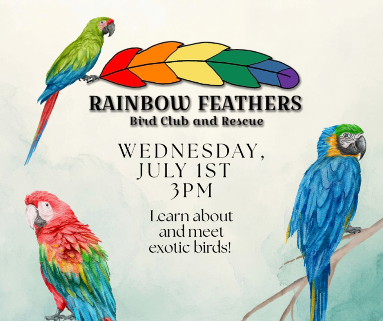 Rainbow Feathers bird club and rescue. July 1st at 3 PM. Learn about and meet exotic birds!