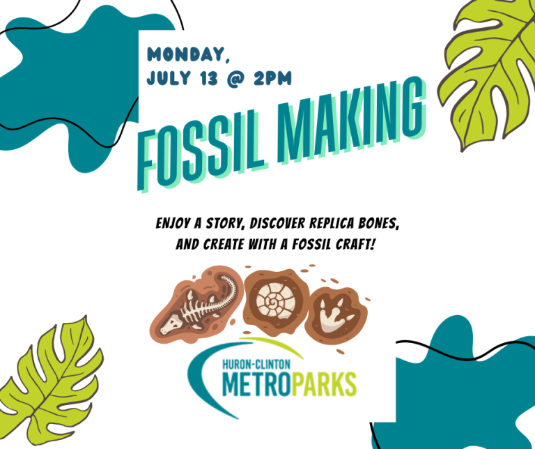 Fossil Making - Monday, July 13th at 1 PM. Make your own clay fossil, plus a story , and replica fossils